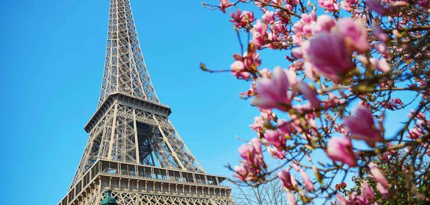 Un printemps à Paris : Balades, expositions et jardins en fleurs