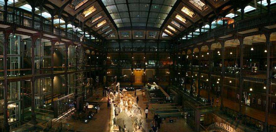 Paris loves families; activities for parents and children