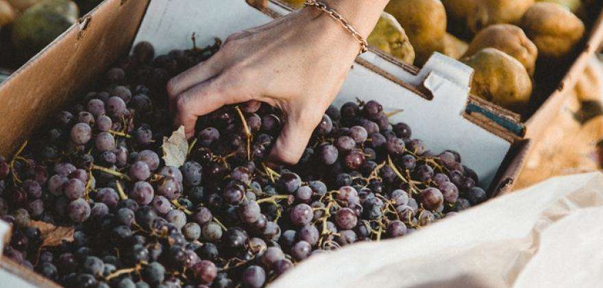 Découvrez le fabuleux Marché des Enfants Rouges