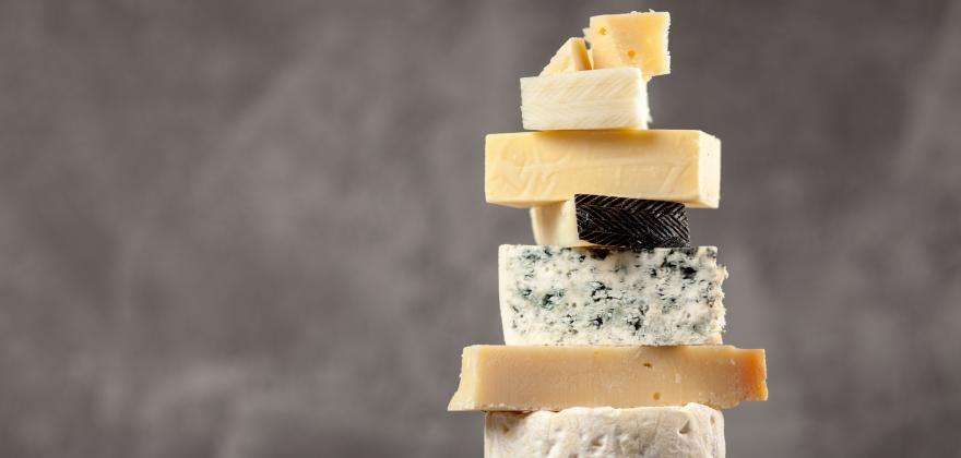 The Cheese Museum: An Ode to French Culinary Tradition