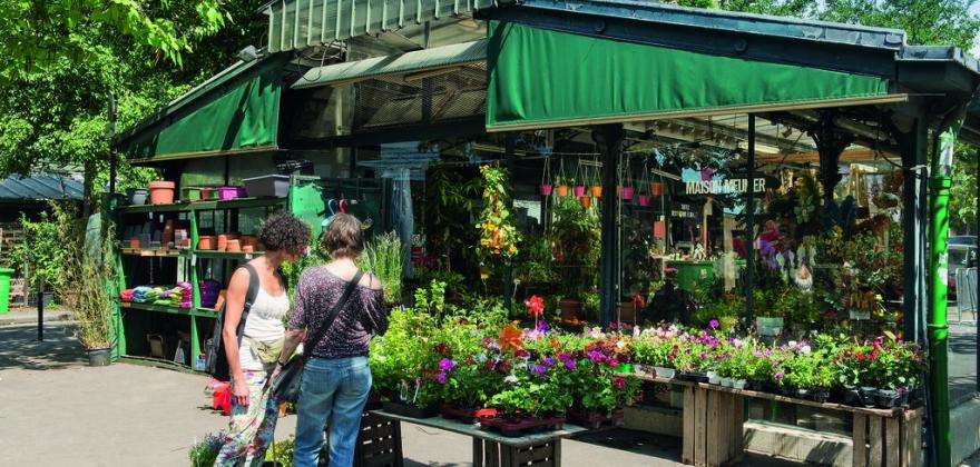 Découvrez le pittoresque marché aux fleurs de l’île de la Cité
