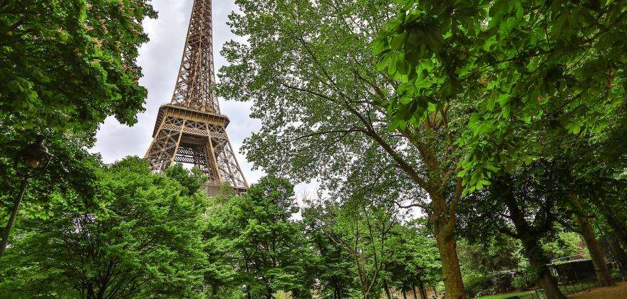 The Eiffel Tower; more than 130 years of history